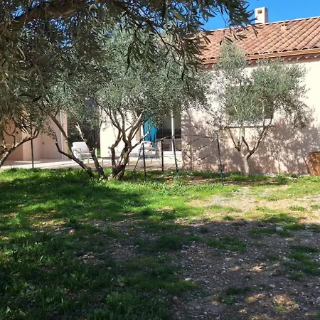 La Terrasse Des Oliviers Saint-Jean-de-Fos