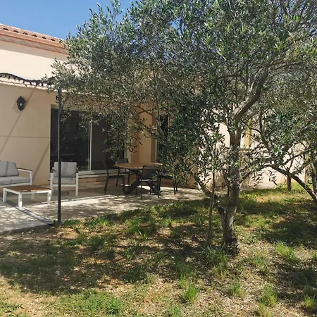 La Terrasse Des Oliviers